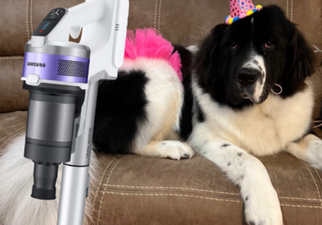 Image for Living My Best Life with the Samsung Jet™ 70