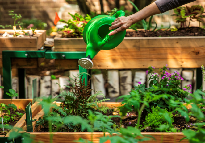 Image for Partners in Sustainability: GrowNYC – the National Volunteer Week Edition