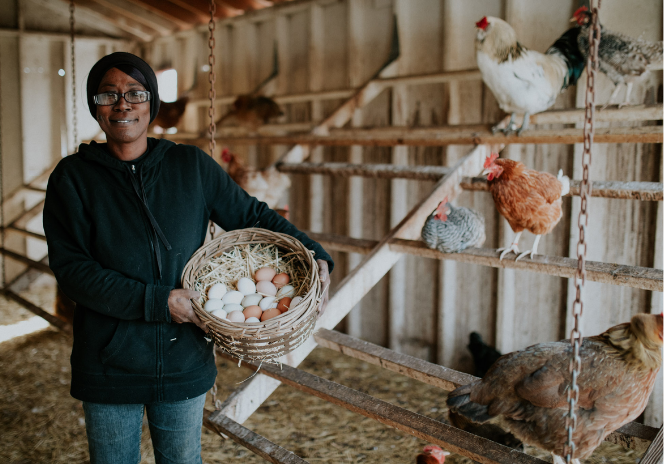 Image for Partners in Sustainability: Bonton Farms – the National Volunteer Week Edition