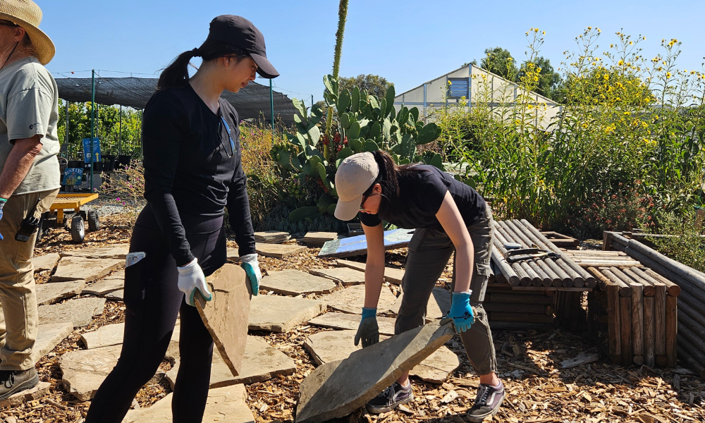 intern-day-of-service-our-city-forest-california