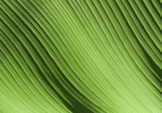 Image for Samsung in America: 2025 Environmental Toolkit