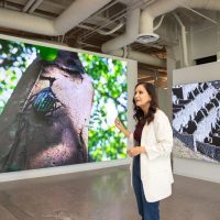 Image for Where Innovation Meets Industry: How Samsung’s Display Showroom in California Helps Rethink What’s Possible