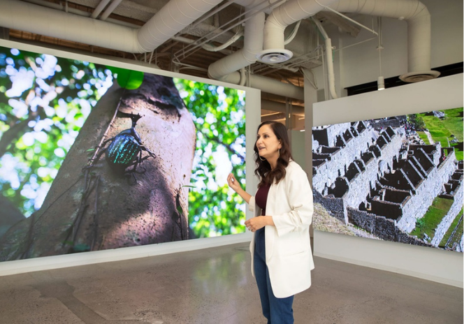 Where Innovation Meets Industry: How Samsung’s Display Showroom in California Helps Rethink What’s Possible