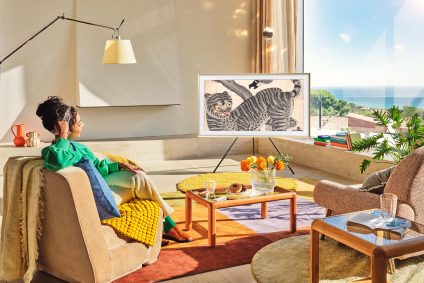 2025-the-frame_tiger-and-magpie