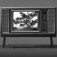 Image for [CES 2026] Quest For Perfect Color…Samsung to Push Boundaries of TV at The First Look