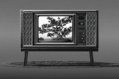 Image for [CES 2026] Quest For Perfect Color…Samsung to Push Boundaries of TV at The First Look