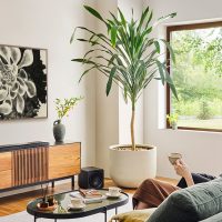 Image for The Ruth Asawa Collection from The Museum of Modern Art Joins the Samsung Art Store